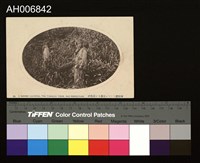 阿緱廳蕃人耕作明信片 (大正年)藏品圖，第1張